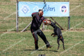 IMG_9636.jpg