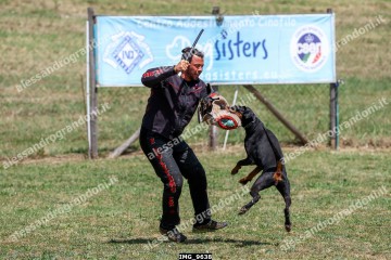 IMG_9638.jpg