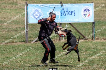 IMG_9639.jpg