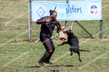 IMG_9641.jpg