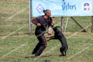 IMG_9644.jpg