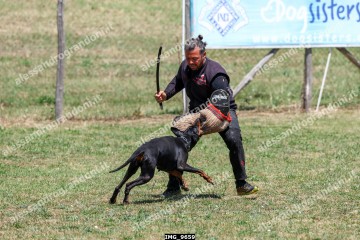 IMG_9659.jpg