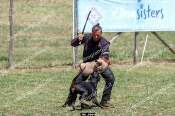 IMG_9664.jpg