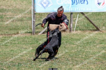 IMG_9669.jpg