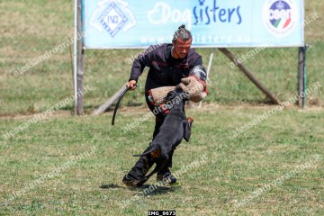 IMG_9673.jpg