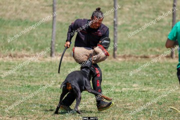 IMG_9677.jpg