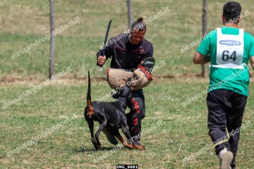 IMG_9681.jpg