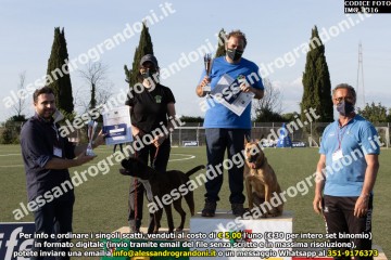 IMG_1316.jpg
