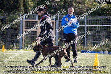 IMG_9481.jpg