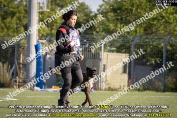 IMG_9493.jpg