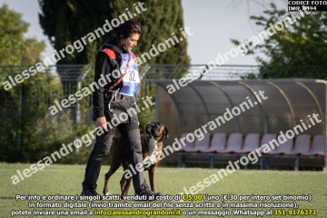 IMG_9494.jpg