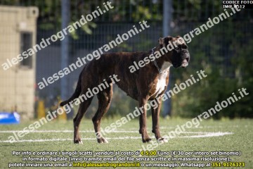 IMG_9512.jpg