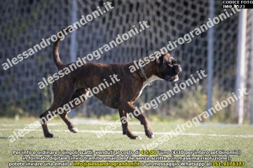 IMG_9523.jpg