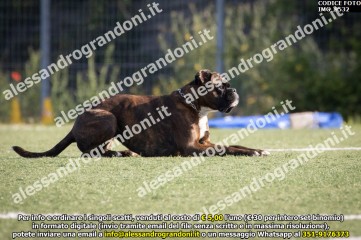 IMG_9532.jpg