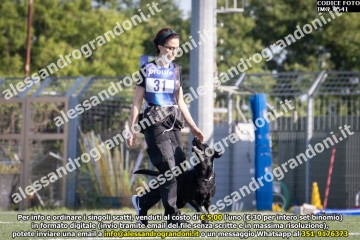 IMG_9541.jpg