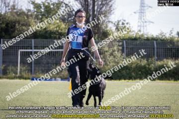 IMG_9558.jpg