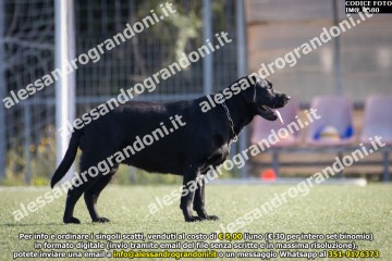 IMG_9580.jpg
