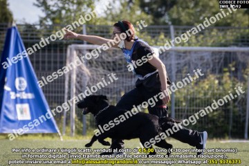 IMG_9592.jpg
