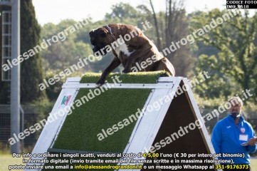 IMG_9618.jpg
