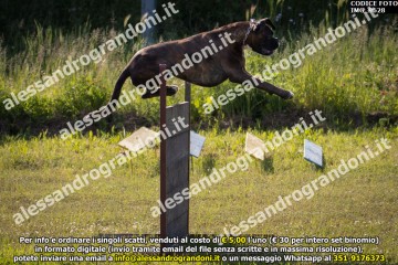 IMG_9628.jpg
