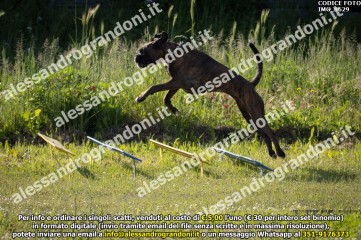 IMG_9629.jpg