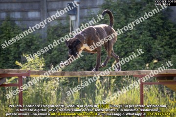 IMG_9634.jpg