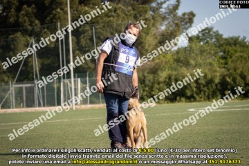 IMG_9661.jpg