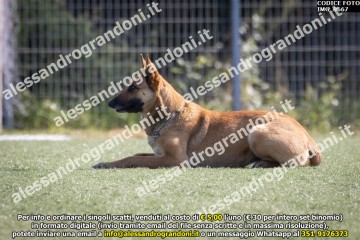 IMG_9667.jpg