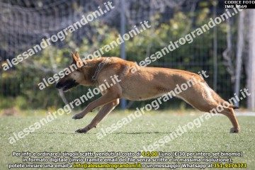 IMG_9669.jpg