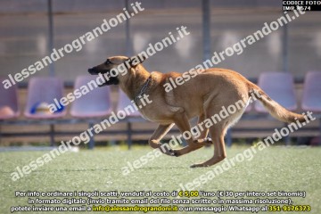 IMG_9674.jpg