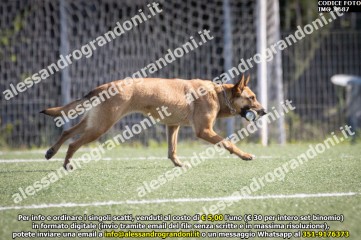 IMG_9687.jpg