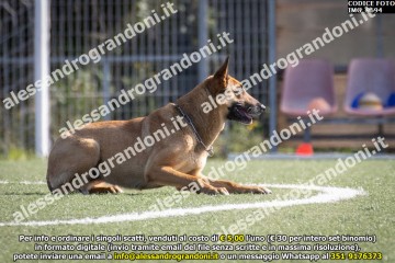 IMG_9694.jpg