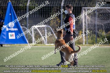 IMG_9696.jpg