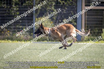 IMG_9720.jpg