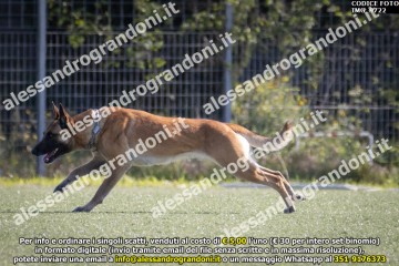 IMG_9722.jpg