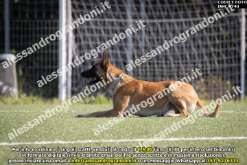 IMG_9740.jpg