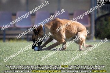 IMG_9744.jpg