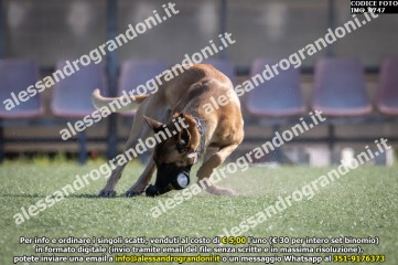 IMG_9747.jpg