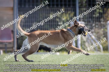 IMG_9749.jpg