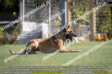 IMG_9763.jpg