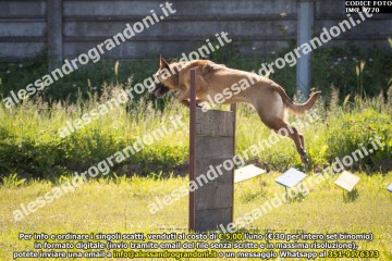 IMG_9770.jpg