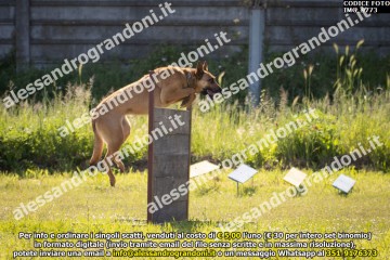 IMG_9773.jpg