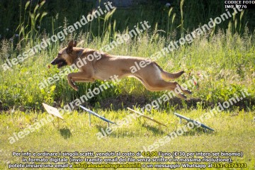 IMG_9776.jpg