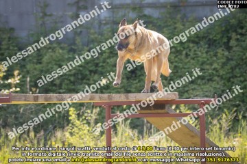 IMG_9782.jpg