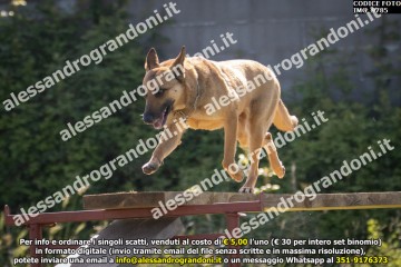 IMG_9785.jpg