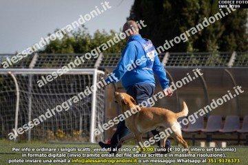 IMG_9789.jpg