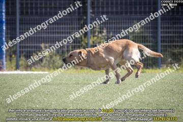 IMG_9808.jpg