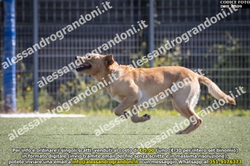 IMG_9809.jpg