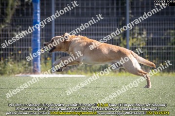 IMG_9810.jpg