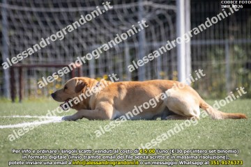 IMG_9826.jpg